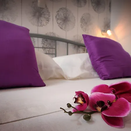 Apartamento & Lasta *