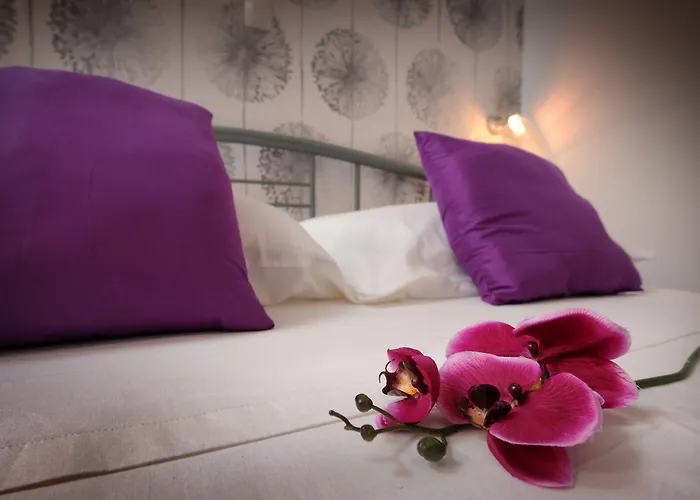 Apartamento & Lasta *